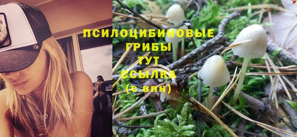 не бодяженный Богородск