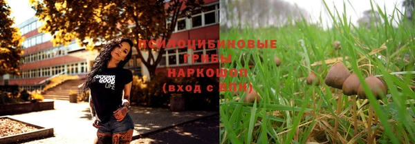 mix Богородицк