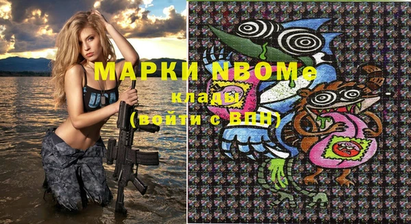 mix Богородицк
