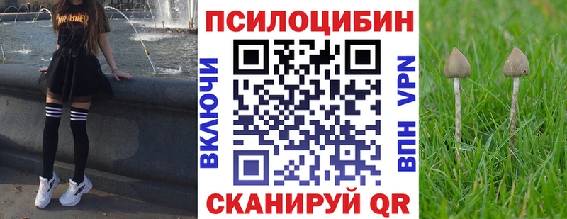 Псилоцибиновые грибы прущие грибы  Валуйки 